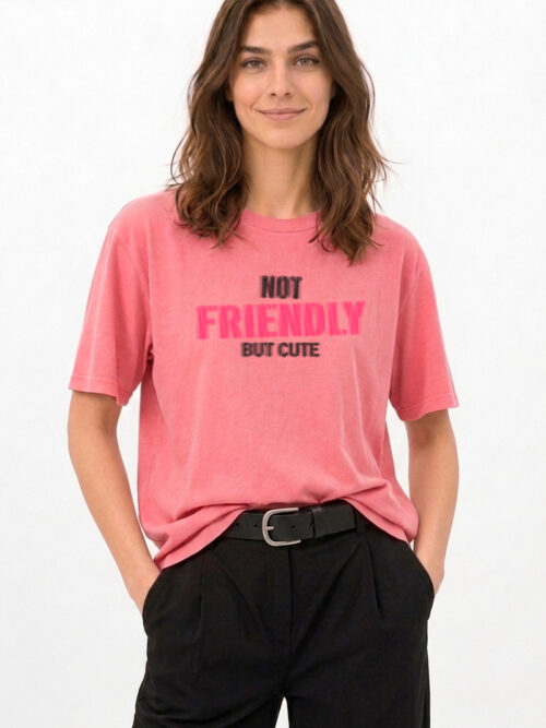 TEE SHIRT FRIENDLY